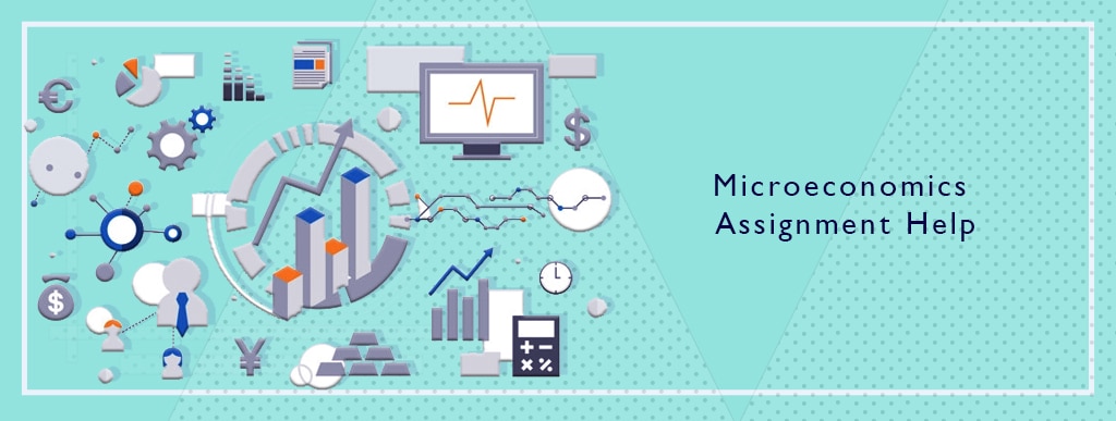 Microeconomics Assignment Help Services