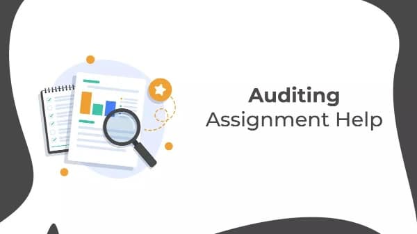 Auditing assignment help by Buddy Assignment Help
