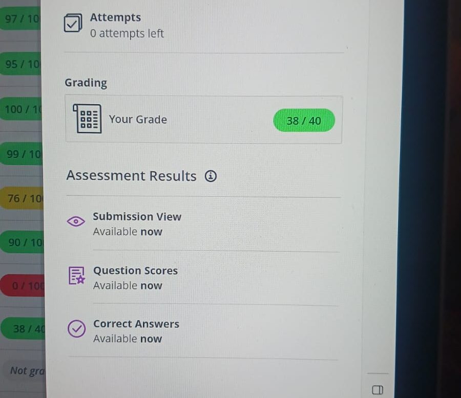 student got 38/40 grade after our finance assignment help